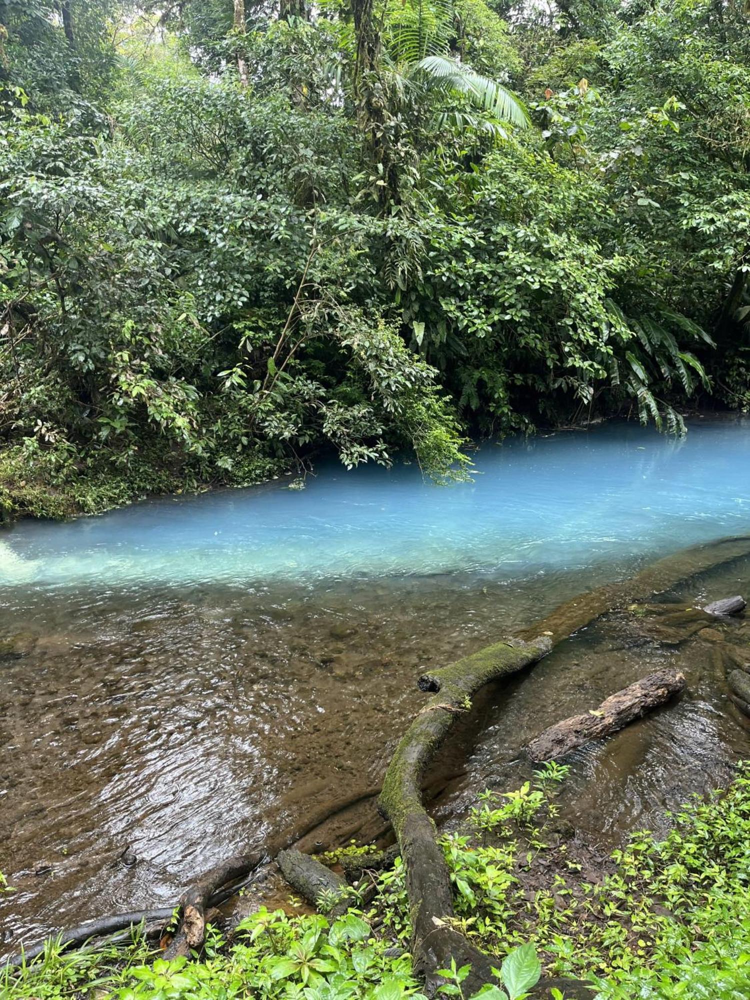 Kakao Lodge & Garden Rio Celeste Bujagua Buitenkant foto